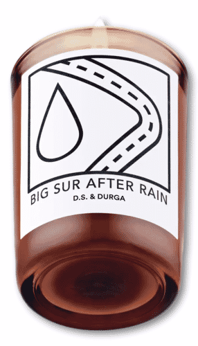 D.S. & DURGA Big Sur After Rain Candle 200g